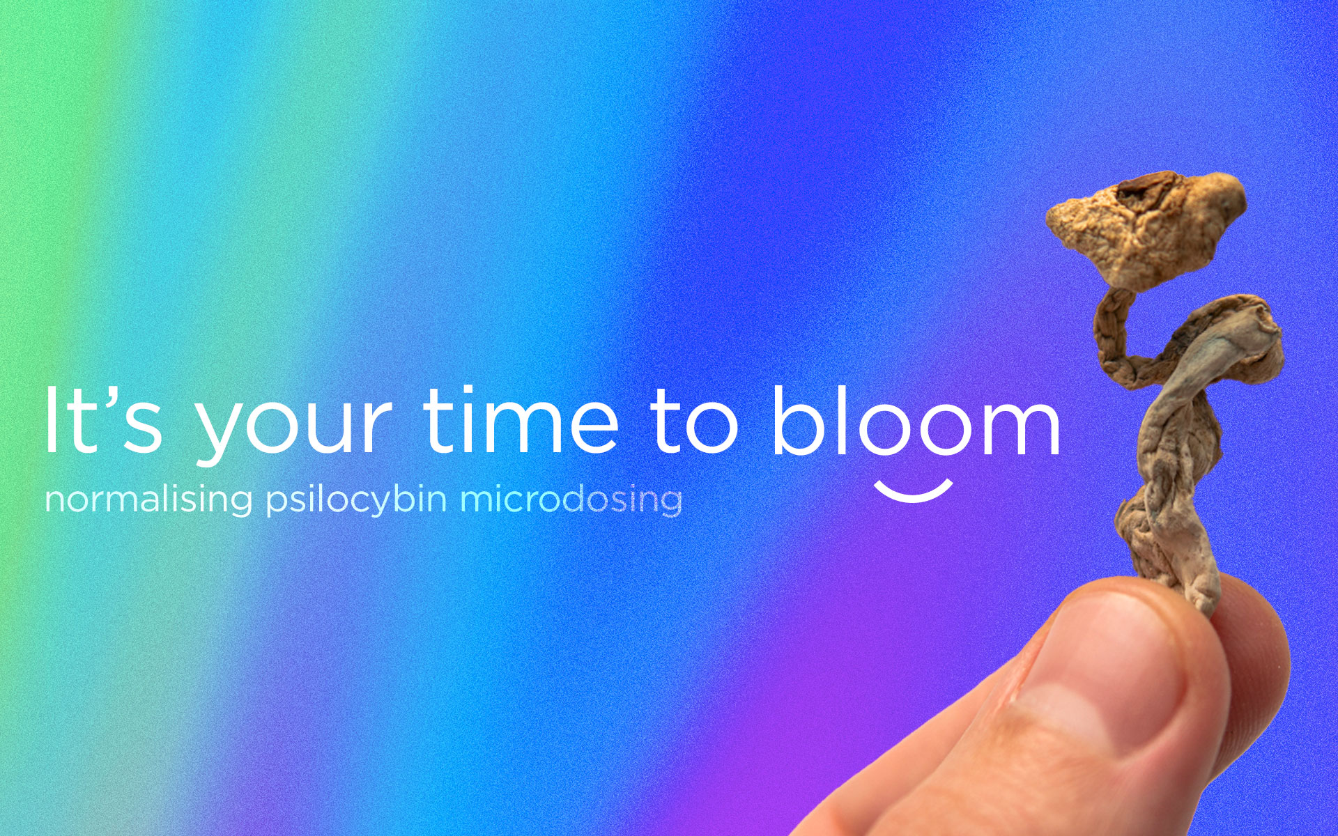 Bloom