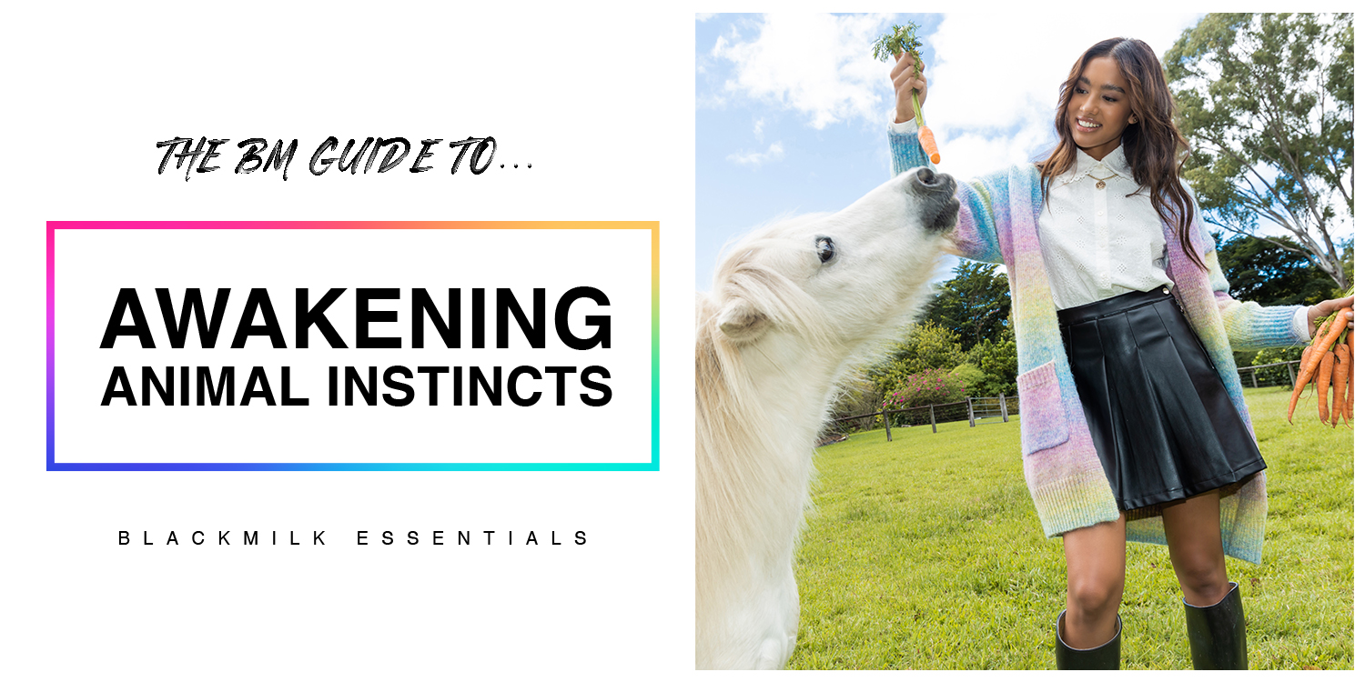 BM_P2022_2022_Essentials