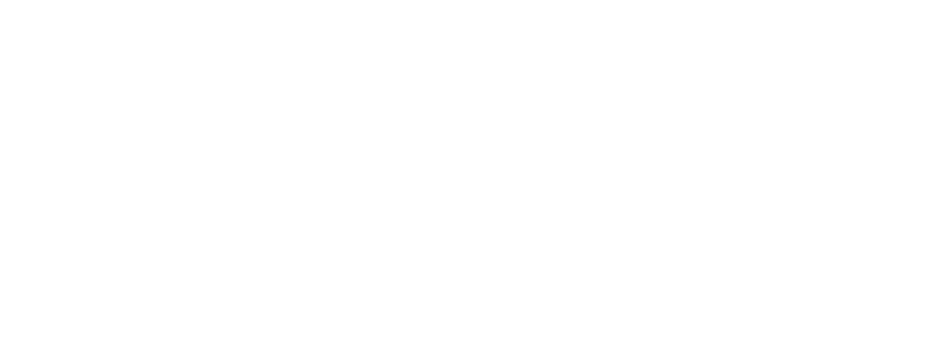 Carbon-Lane