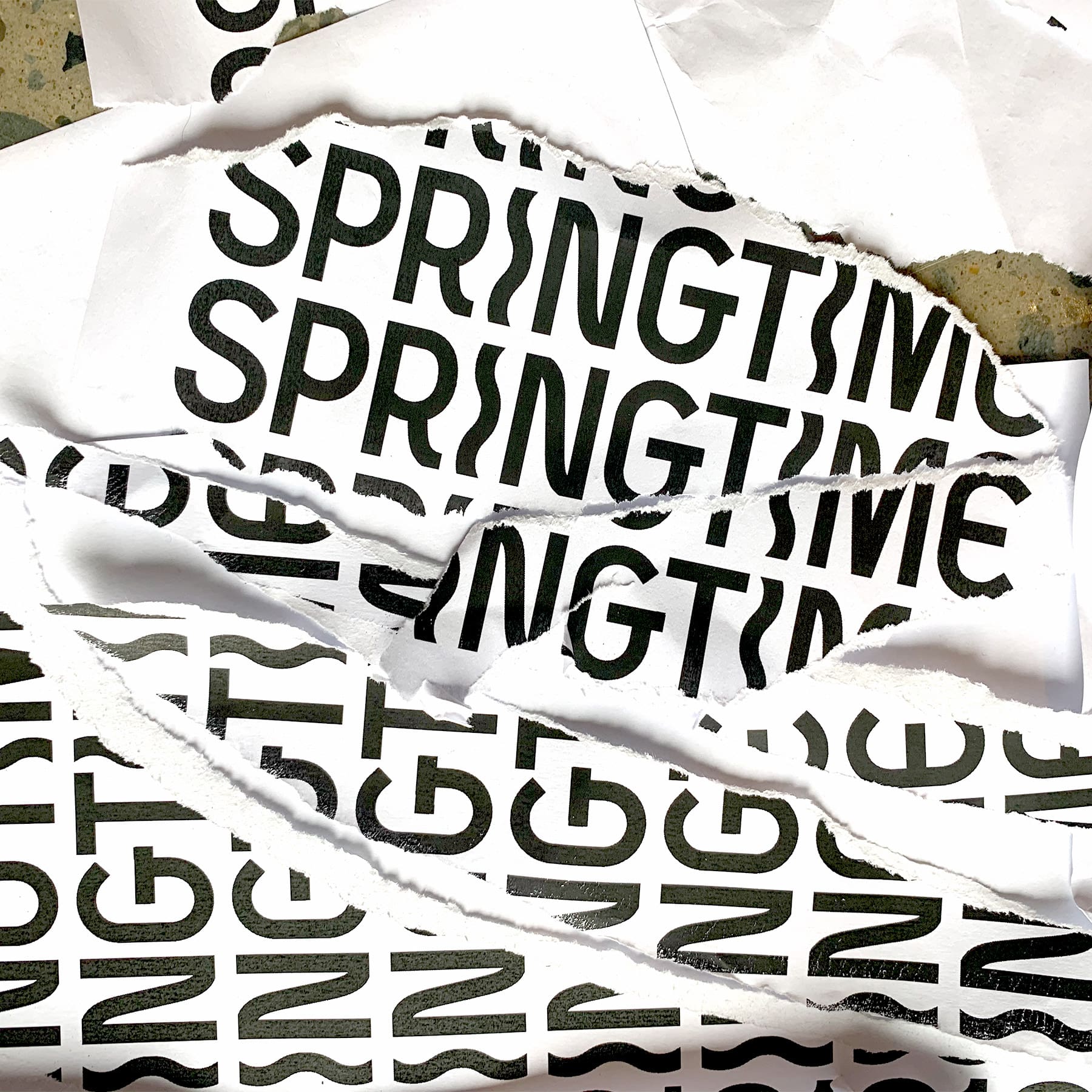photo of paper tears of printout of SPRINGTIME logo eplorations Springtime Logo In Box for SpringTime Festival Gold Coast 2-4 September 2022