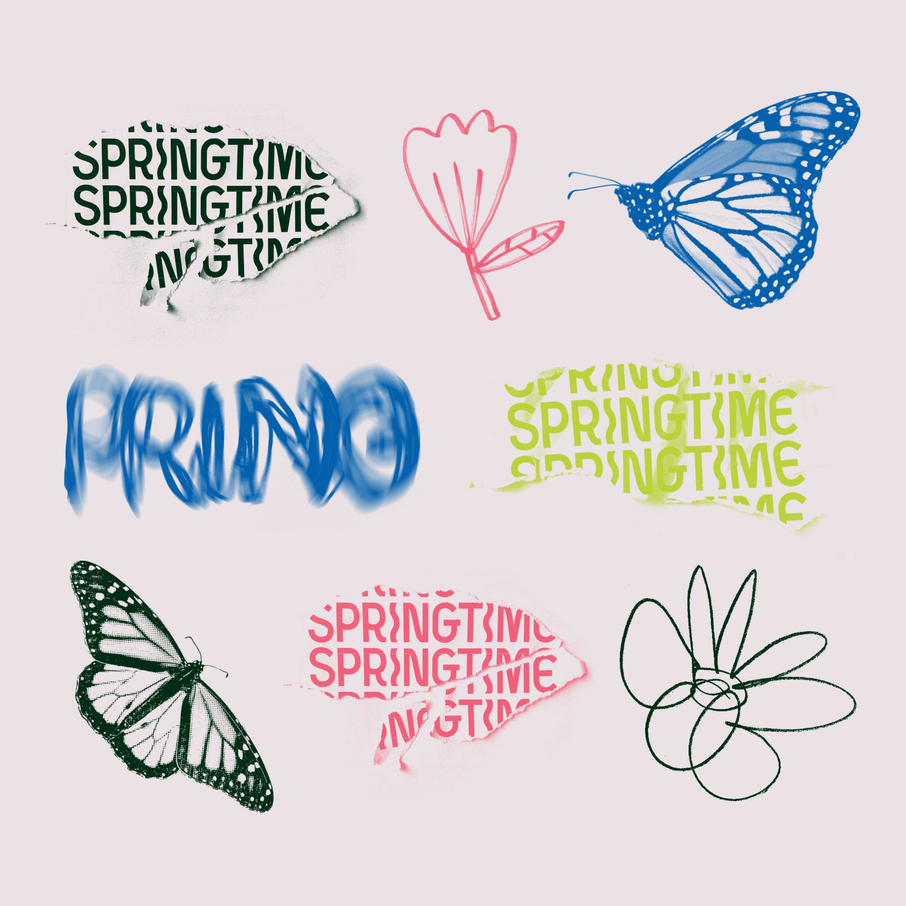 Graphical Elements Springtime Logo In Box for SpringTime Festival Gold Coast 2-4 September 2022